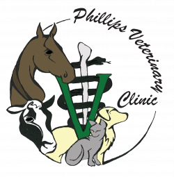 Small Animal Medical Services - Phillips Veterinary Clinic, Inc ...