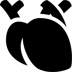 Medical Heart Svg Png Icon Free Download (#433901) - OnlineWebFonts.COM