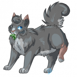 The New Swamp King — Cinderpelt has to be one of the best medicine ...