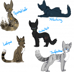 Medicine cats of Thunderclan by RoseyTail on DeviantArt
