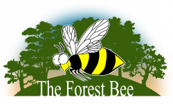 What is The Forest Bee? | The Forest Bee.co.uk