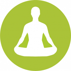 On The Mat Yoga Studio offers Classes in Beginner Yoga, Flow Yoga ...