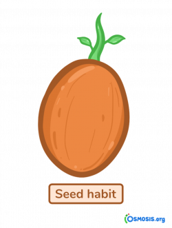 Ditch Your New Year's Resolutions. Instead, Plant Your Seed ...