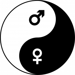 Clipart - Female And Male Symbols Yin Yang