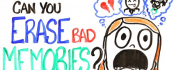 WATCH: Can You Erase Bad Memories?
