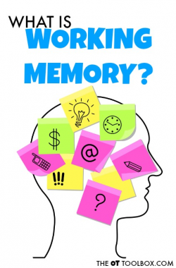 How to Improve Working Memory - The OT Toolbox