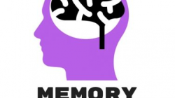 Memory Drain - SYN Media