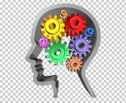 Human Brain Working Memory Human Head Thought PNG, Clipart ...