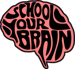 Teacher Blog — School Your Brain