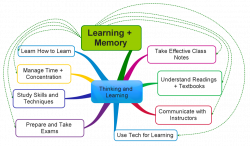 How noise affects memory and learning Essay Help hvassignmentujet ...