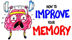 How To Improve Your Memory RIGHT NOW!