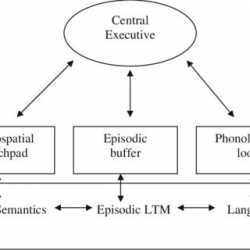 Robert Savage | McGill University, Montréal | McGill | Department of ...