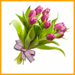 Unbelievable Best U Leaves Picture Of Tulip Flower Name In Gujarati ...
