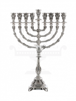 Menorah Images Group (68+)