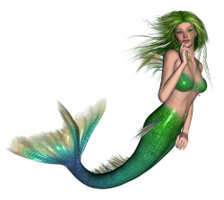 PNG Mermaid Transparent Mermaid.PNG Images. | PlusPNG