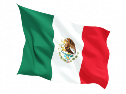 Mexico Flag Wave transparent PNG - StickPNG
