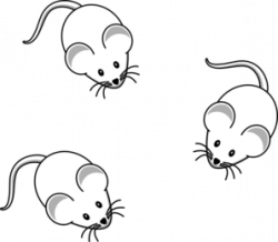 Mice Clip Art at Clker.com - vector clip art online, royalty free ...
