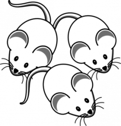 3 Mice Clip Art at Clker.com - vector clip art online, royalty free ...