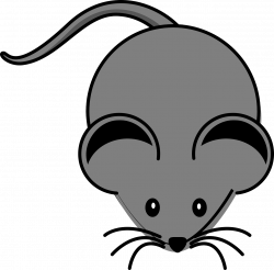 Mouse Animal Rodent Mammal PNG Image - Picpng
