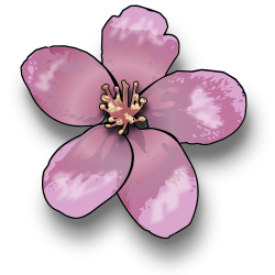 Apple Blossom Clip Art - Cliparts.co