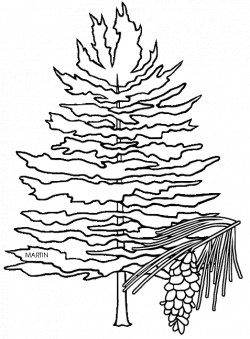 United States Clip Art by Phillip Martin, Michigan State Tree ...