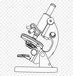 Microscope Clipart Black And White, HD Png Download ...