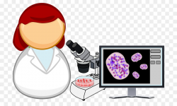 Microscope Cartoon png download - 800*528 - Free Transparent ...