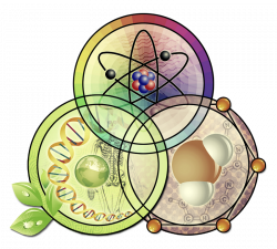 Chemistry, the Middle Child of Science | Pickled Hedgehog Dilemma