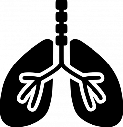 Respiratory System Svg Png Icon Free Download (#493010 ...