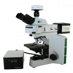 Fein Optic Microscopes | Fein Optic Microcopes: Quality Optics ...