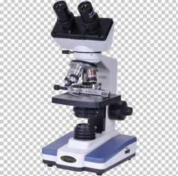 Optical Microscope Stereo Microscope Magnification Digital ...