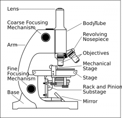 Microscope With Labels Clip Art at Clker.com - vector clip ...