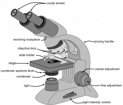 What is a Microscope and How it works [2018]