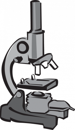 Microscope Clipart clear - Free Clipart on Dumielauxepices.net