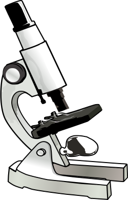 Microscope Clipart clear - Free Clipart on Dumielauxepices.net