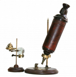 Hooke's Microscope | Lens on Leeuwenhoek