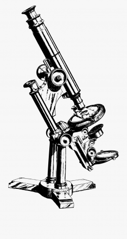 Microscope Clipart Draw - Old Microscope Drawing #143104 ...