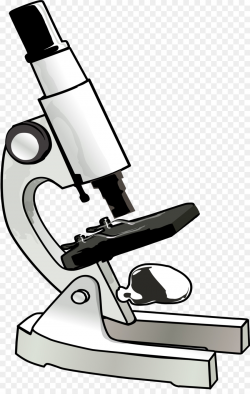 Microscope Cartoon png download - 1539*2400 - Free ...
