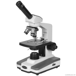 Microscope - ClipartBlack.com