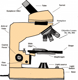 Parts: Parts And Functions Of A Microscope