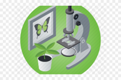 Microscope Clipart Plant Science - Microscope Plant Icon, HD ...