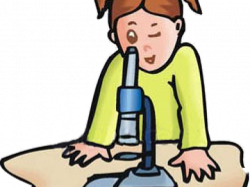 Microscope Clipart - Free Clipart on Dumielauxepices.net