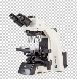 Stereo Microscope Science Light Objective PNG, Clipart ...