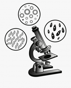 Microscope Clipart Science Research - Clipart Microscope ...
