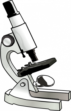 Microscope Clip Art at Clker.com - vector clip art online ...