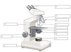 Unlabeled Microscope Diagram 24 - 722 X 533 - Making-The-Web.com