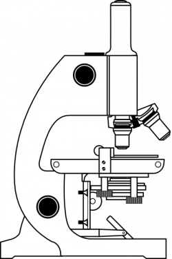 Free Unlabeled Microscope Diagram, Download Free Clip Art ...