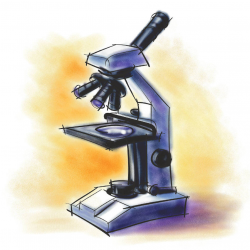 Labeling apound light microscope clipart free to use clip ...