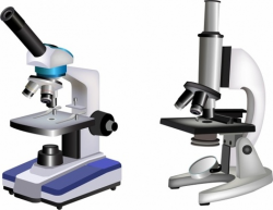 Microscope free vector download (62 Free vector) for ...
