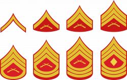 United States Marine Corps rank insignia Military rank Enlisted rank ...